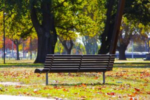 Envie de nature en pleine ville : retrouver un peu de vert sans quitter le quartier