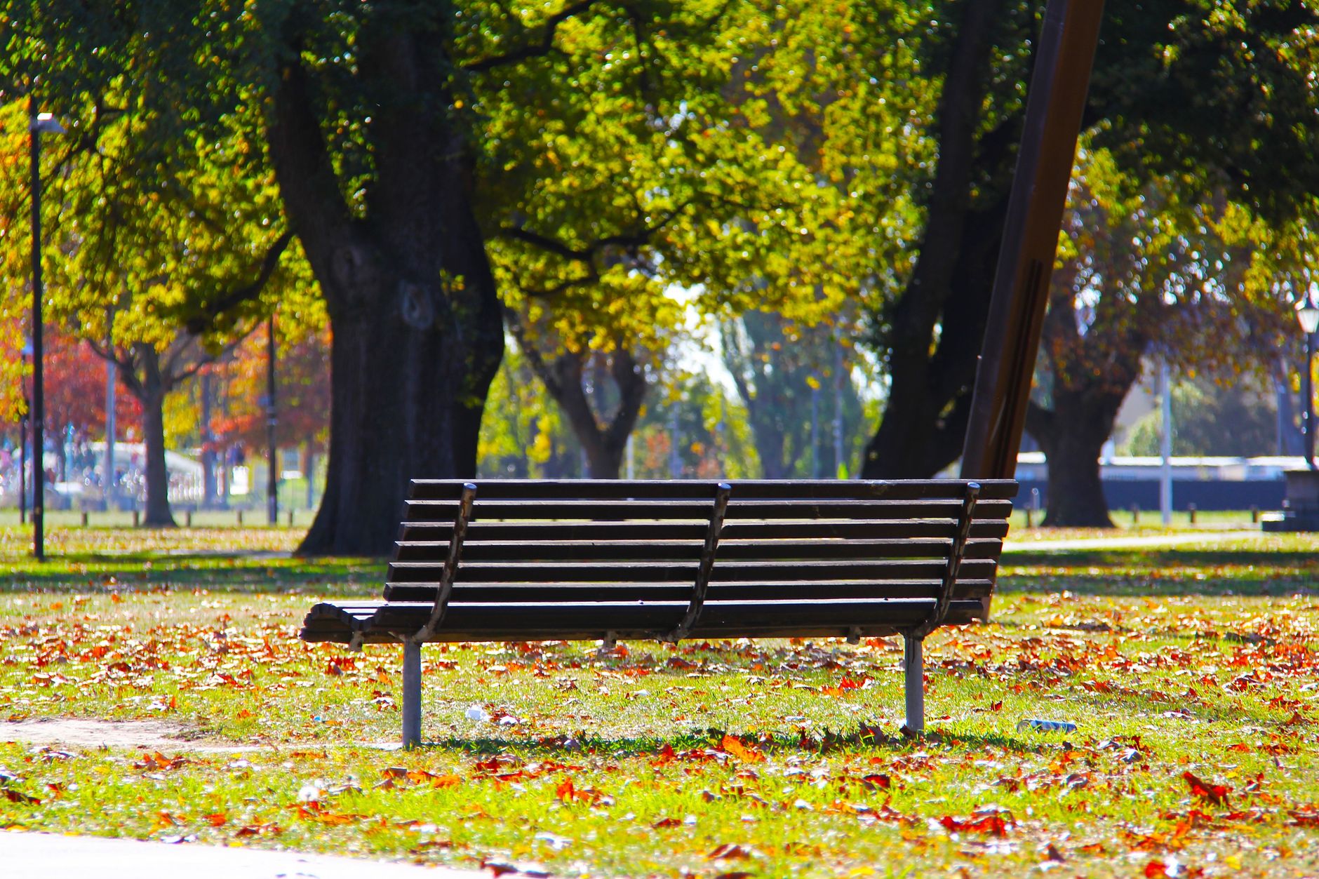 Envie de nature en pleine ville : retrouver un peu de vert sans quitter le quartier